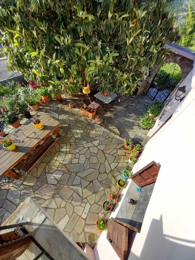 Orizontas Pilio Villa Kissos  Ngoại thất bức ảnh